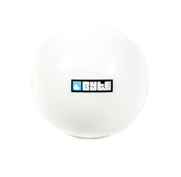 BYTE INDOOR BALL WHITE